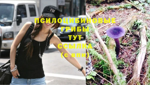 винт Балахна