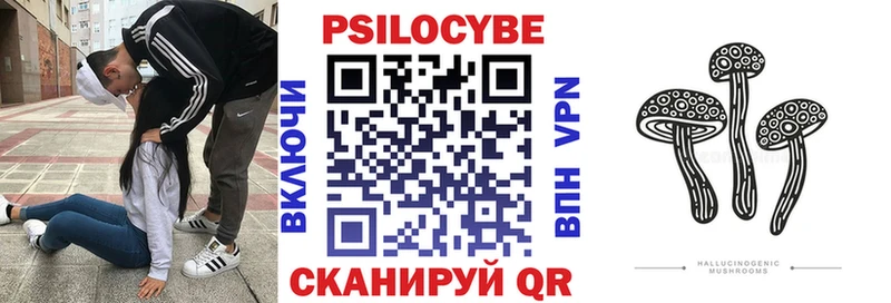 Купить закладки  Кубинка  Галлюциногенные грибы мицелий 